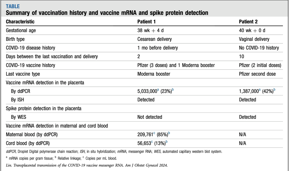 Shocking Discovery: COVID Vaccine mRNA Crosses to Baby's Placenta – What Moms Need to Know!

New study shows COVID vaccine mRNA doesn't stay at the shot site—it spreads through the body to the placenta &amp; even baby's umbilical cord blood. Spike protein in placenta means it's
