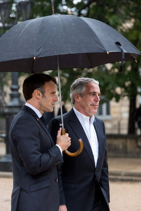 Fleur Morel tweet media