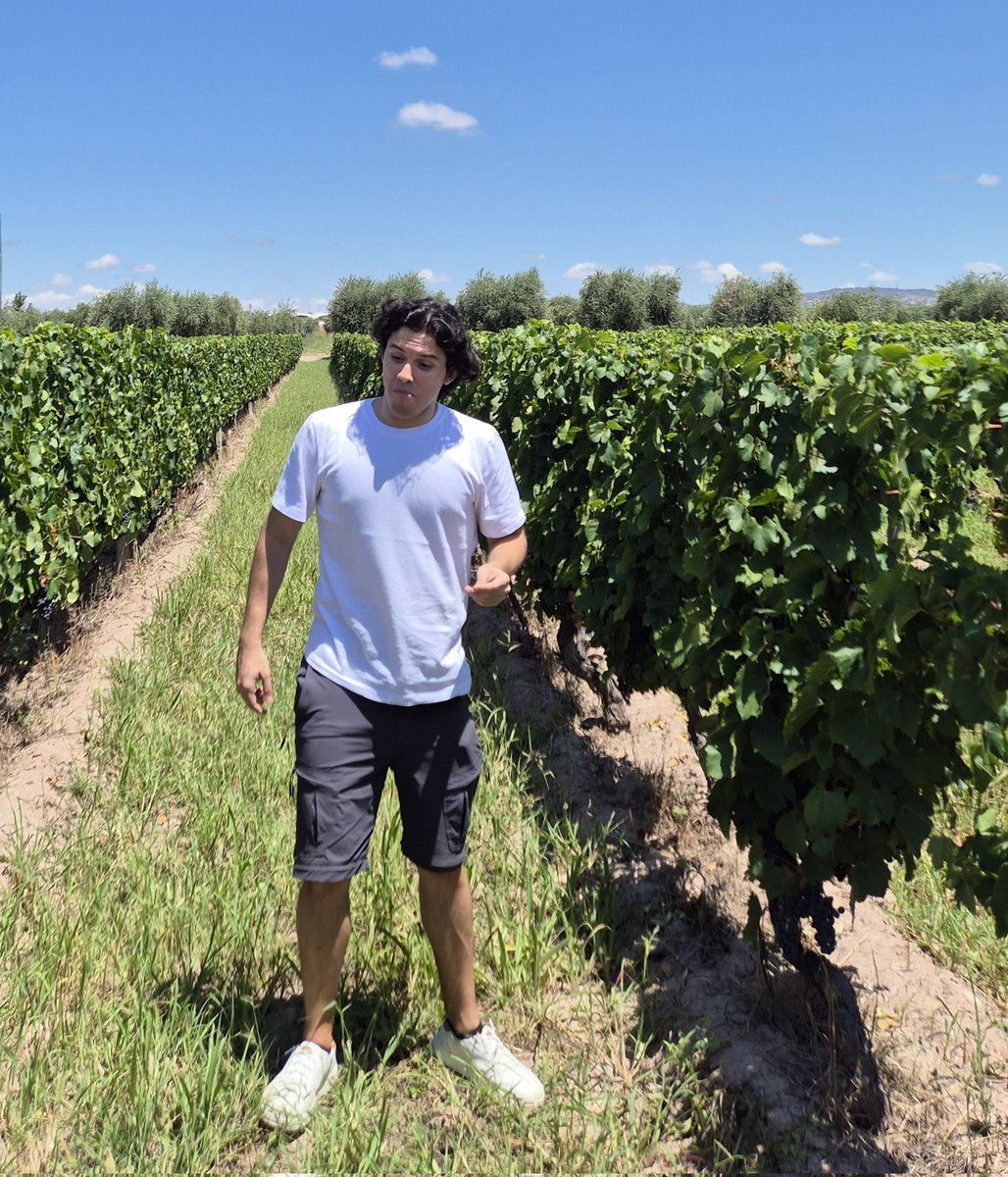 Francolspada's tweet photo. Miro uva, agarro uva, observo uva, como uva https://t.co/TNu9wJMd2R