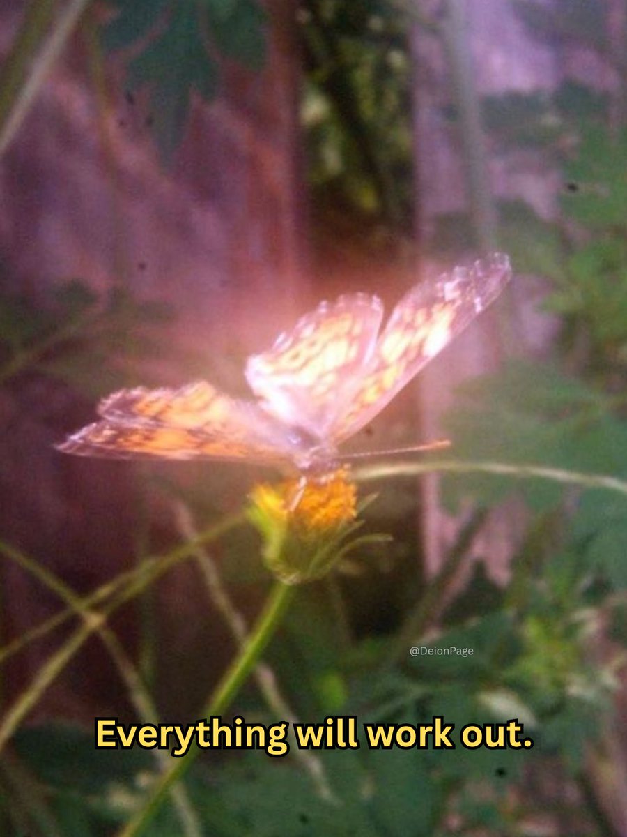 Deion 𓋹 tweet media