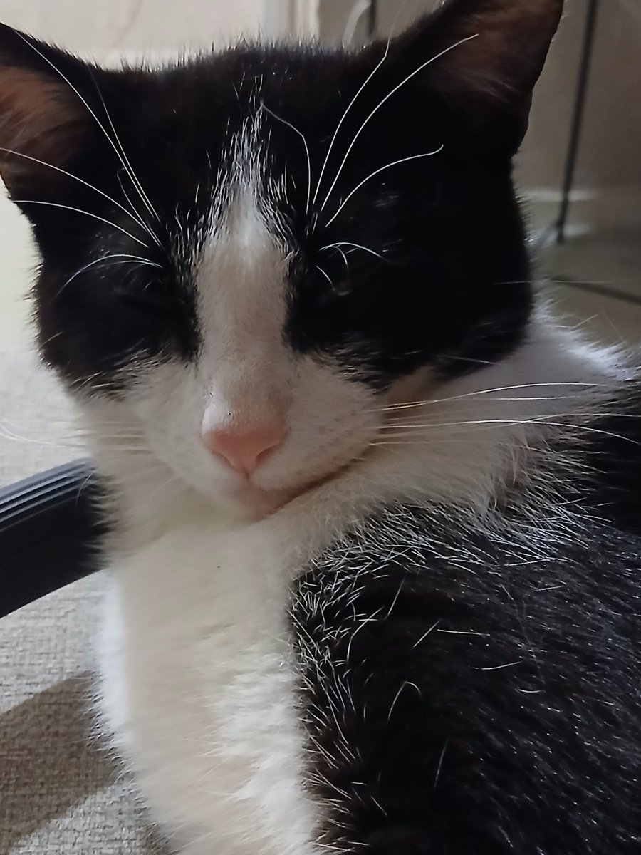 Morrison_H tweet media