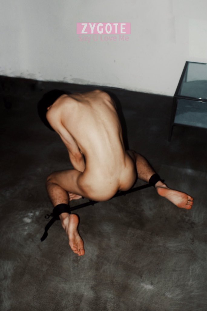 热狗特ZYgote tweet media