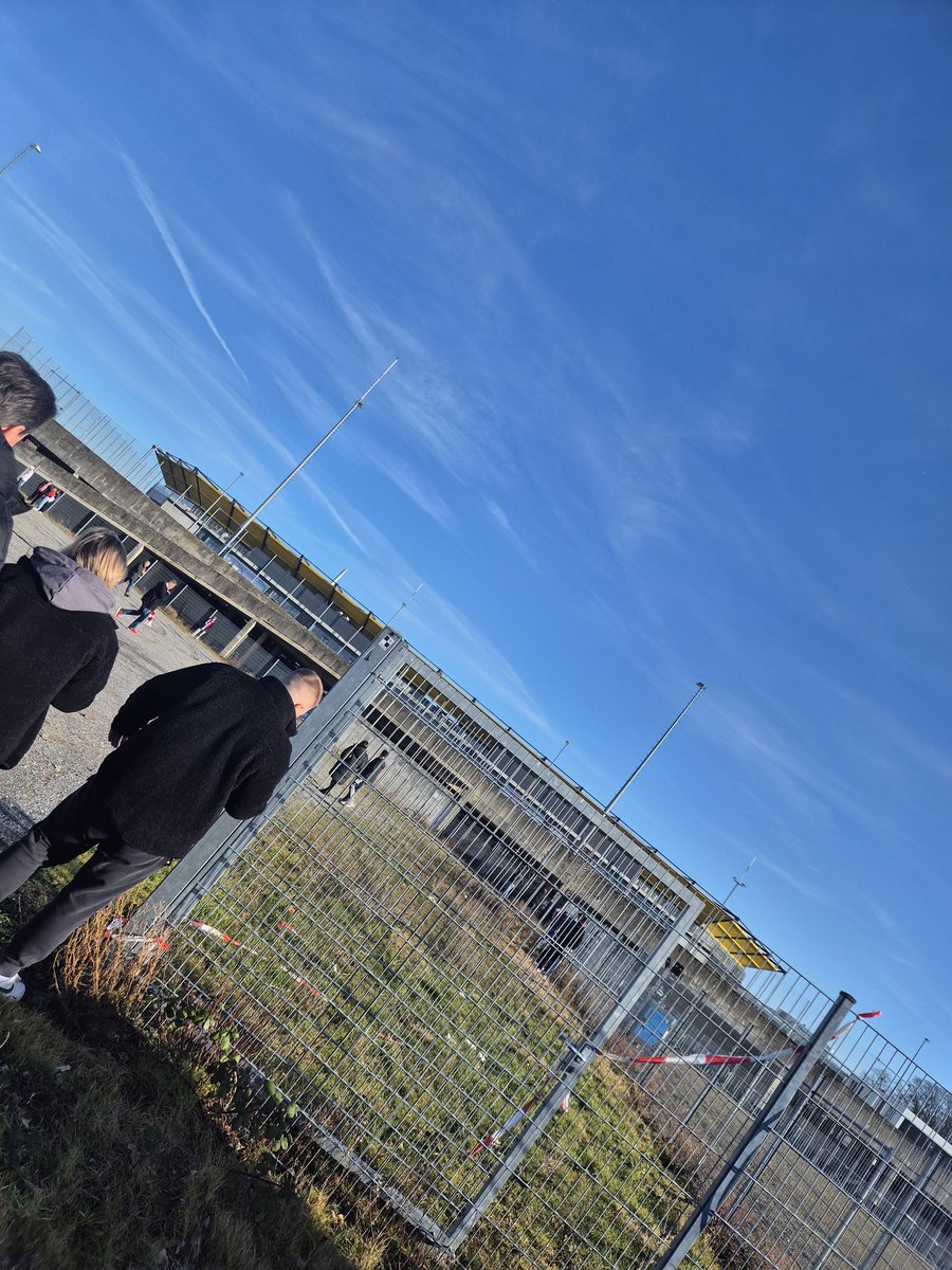 Wolves | Marvin (SpYRo) tweet media