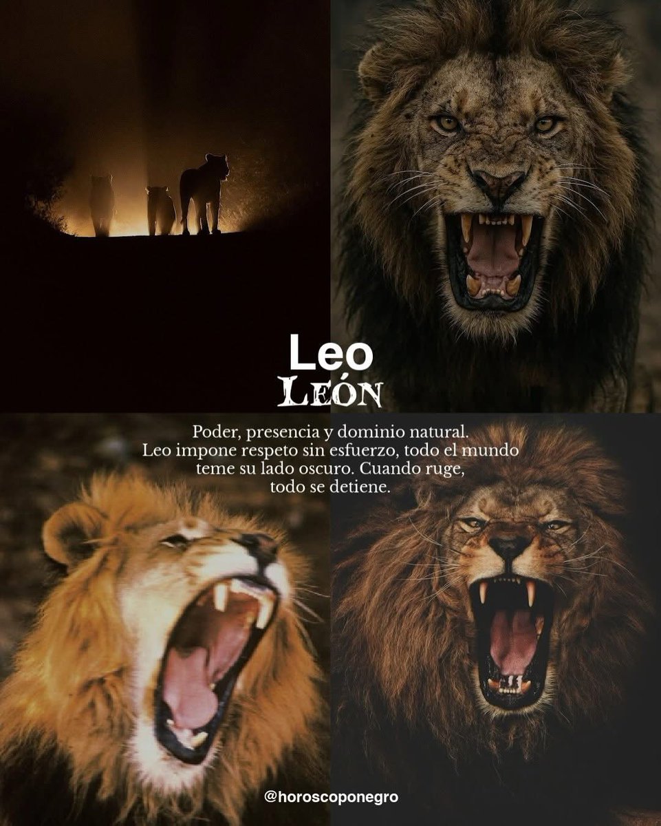 ▲LEO▲ tweet media