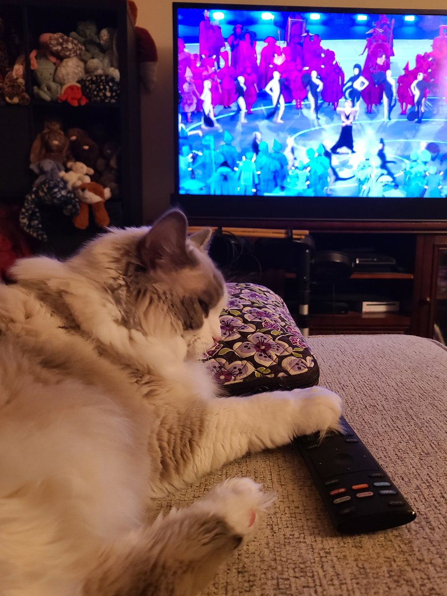 4fluffketeers's tweet photo. Which Olympic sports have you watched so far?
We like to watch while napping 😸
Women's hockey, men's downhill skiing, mixed curling, men's short program figure skating. https://t.co/jX9Hdu9UXx