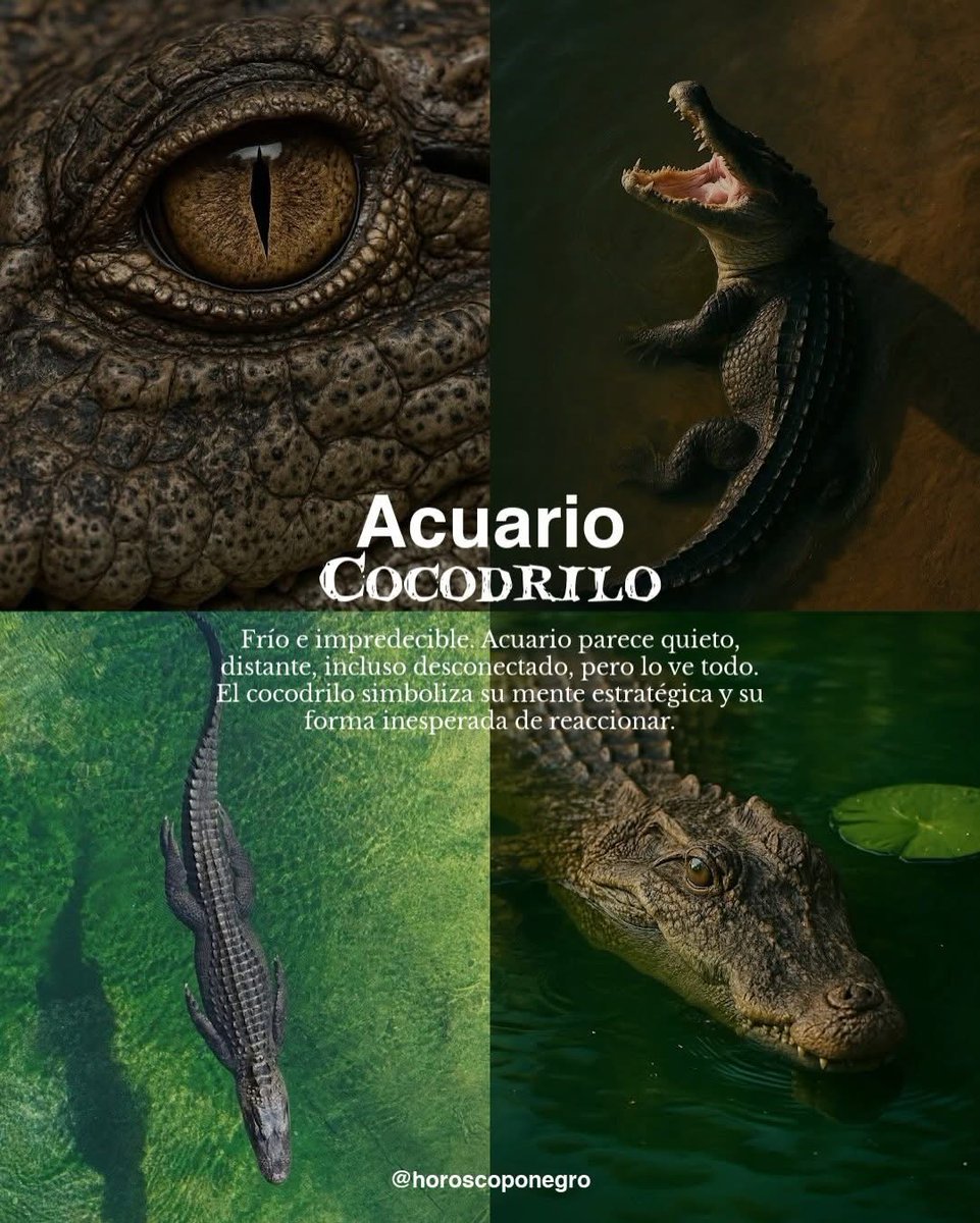 ▲ACUARIO▲ tweet media