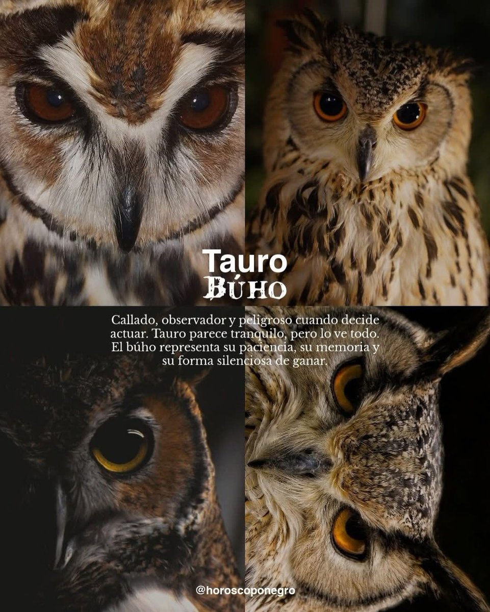 tauro_hn's tweet photo. Si tu signo fuera un animal peligroso, sería este 🔮 https://t.co/CXf4J4s0Rv