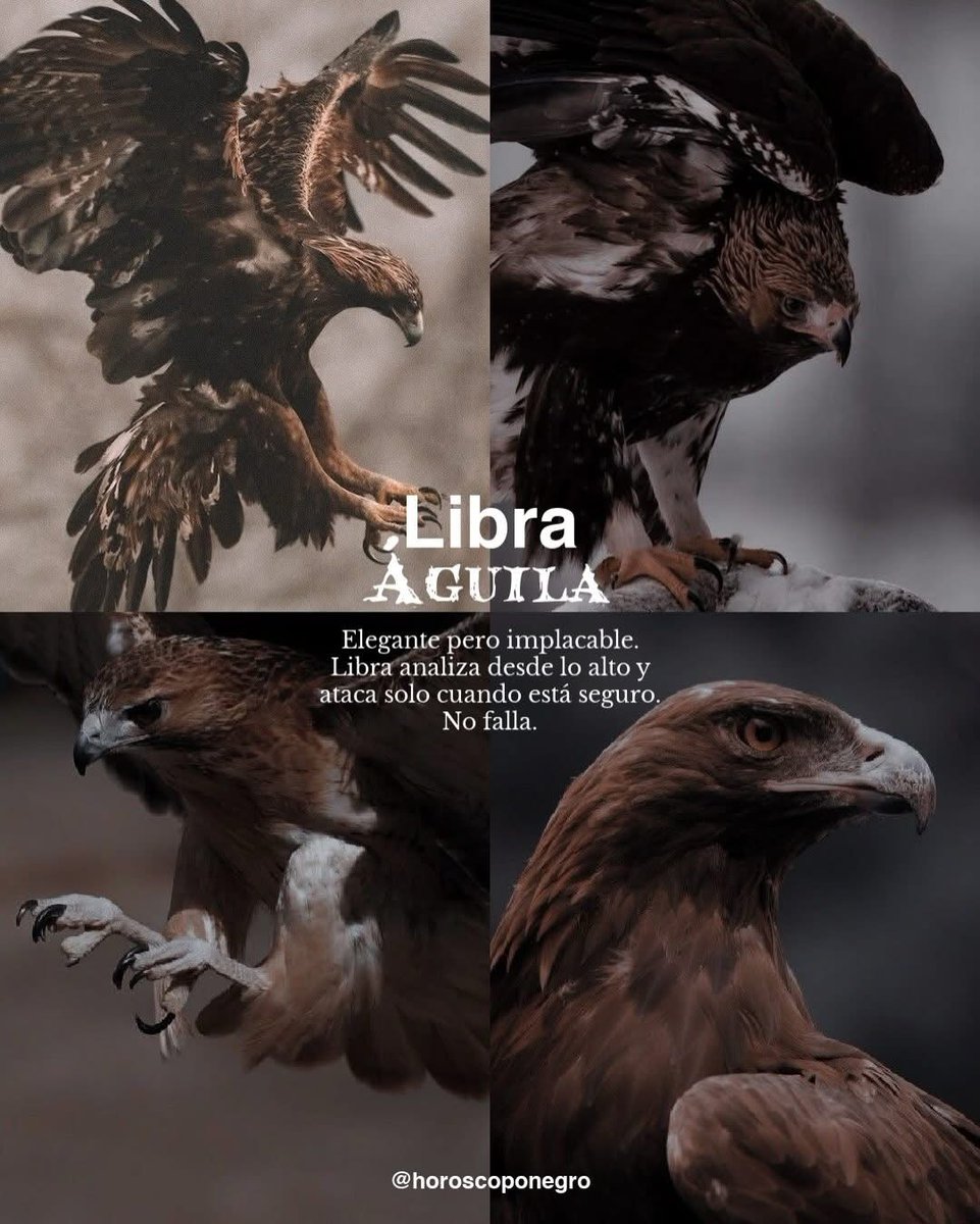 ▲LIBRA▲ tweet media