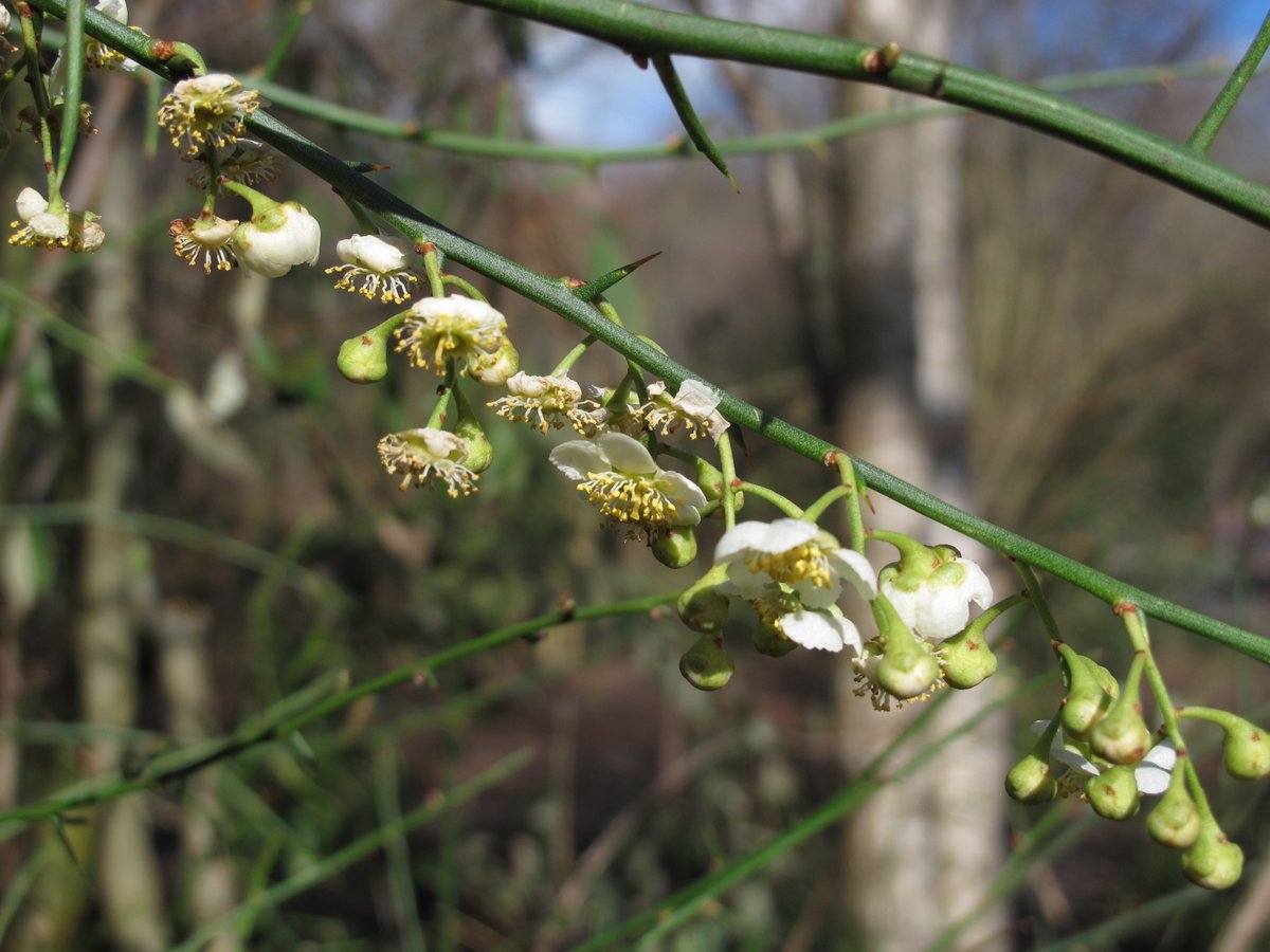 Mick Crawley tweet media