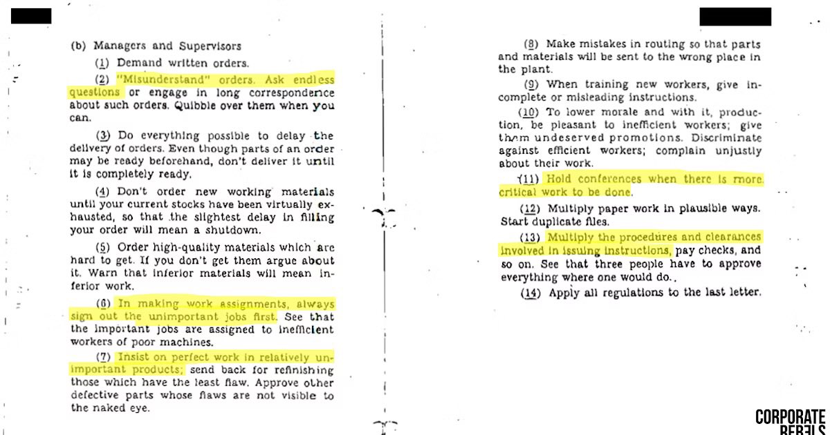 toly 🇺🇸 tweet media