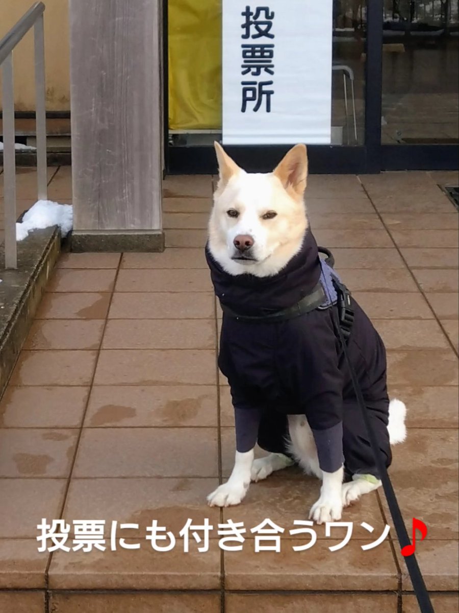 雪を楽しむ子供達🤗