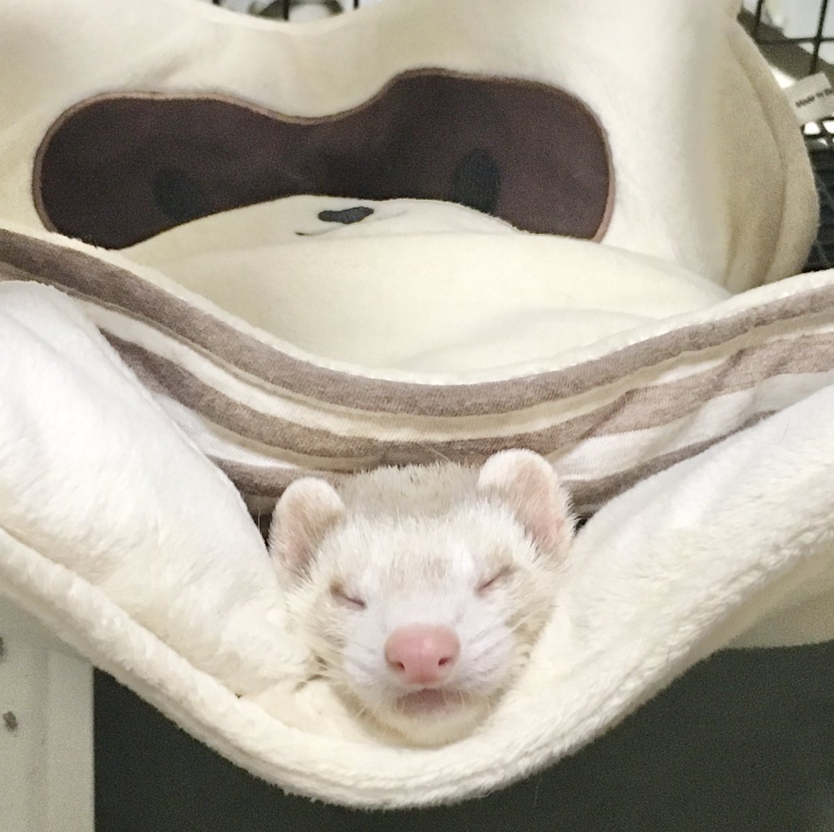 雪遊びしたみんなもおうちぬくぬくなみんなもあったかくしておやすみなさい😪