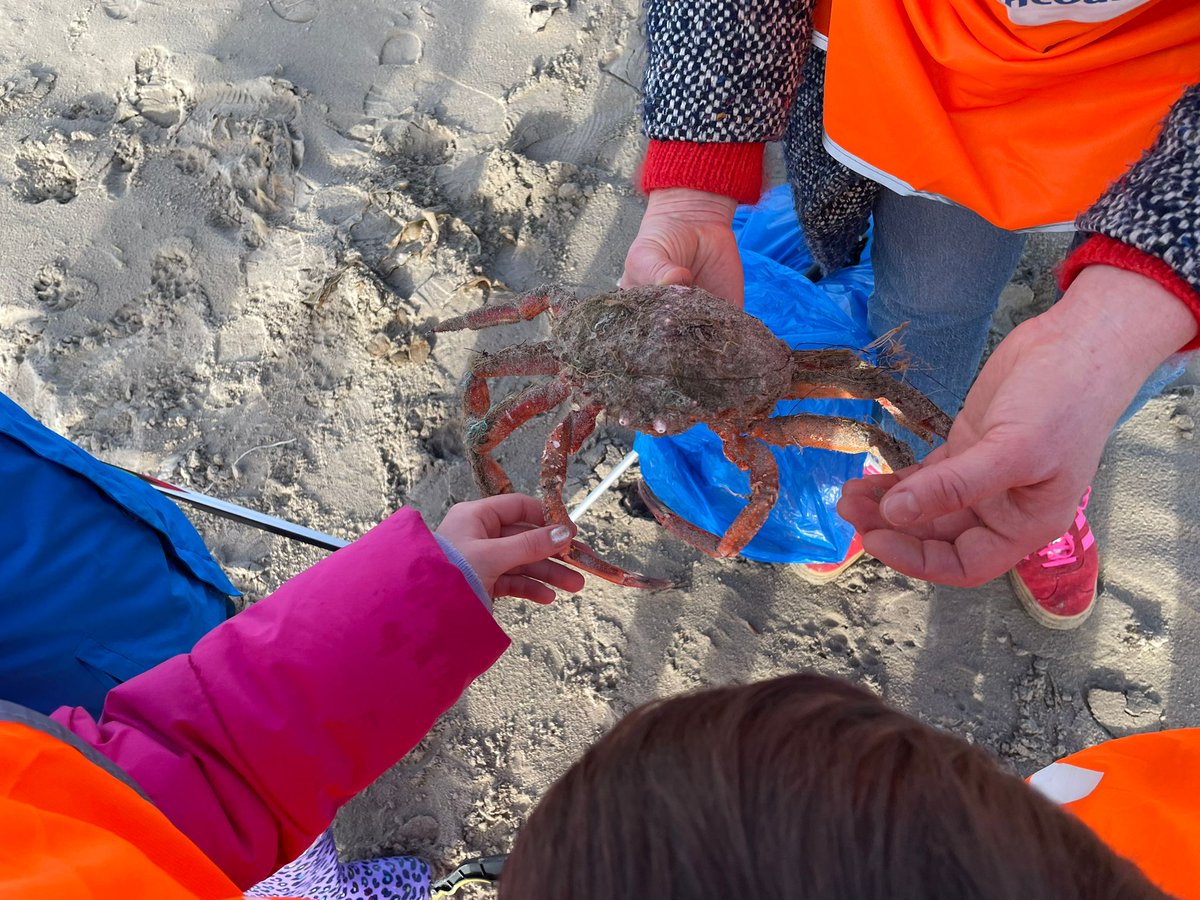 The Sligo Chess and Culture Festival 2026 tweet media