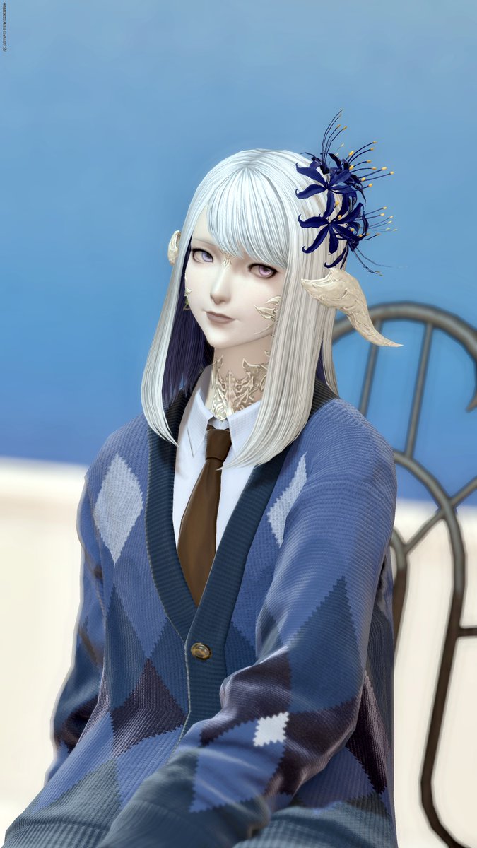 新しい服もらってきたので撮ってきました🫶🏻