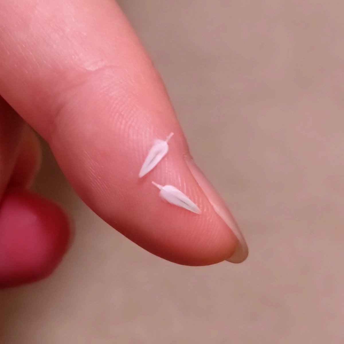 この小さい羽根って、どの辺の羽根ですか？
5本ぐらい抜けてました🪶