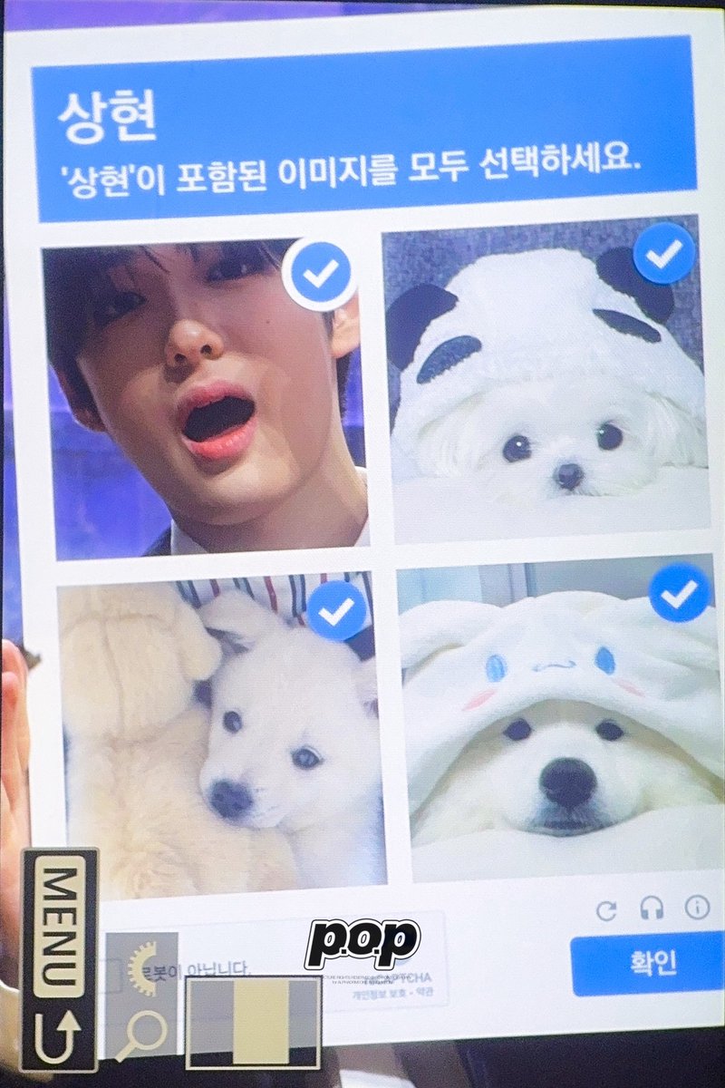 𝗣.𝗼.𝗣 tweet media