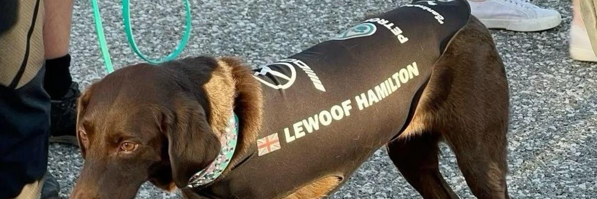 F1HardWalls4k's tweet image. Tap post to see Hamilton and Verstappen