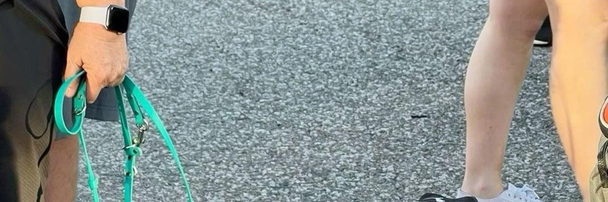 F1HardWalls4k's tweet image. Tap post to see Hamilton and Verstappen