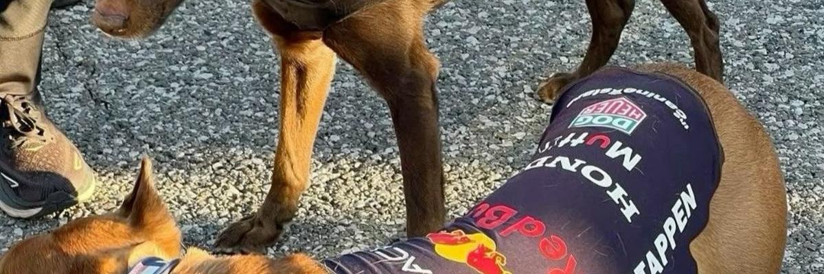 F1HardWalls4k's tweet image. Tap post to see Hamilton and Verstappen