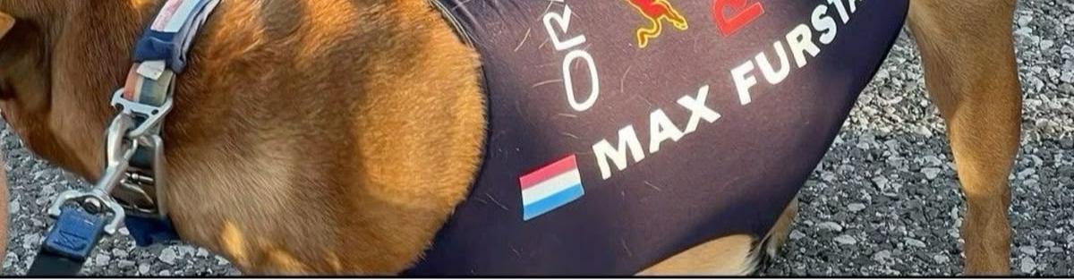 F1HardWalls4k's tweet image. Tap post to see Hamilton and Verstappen