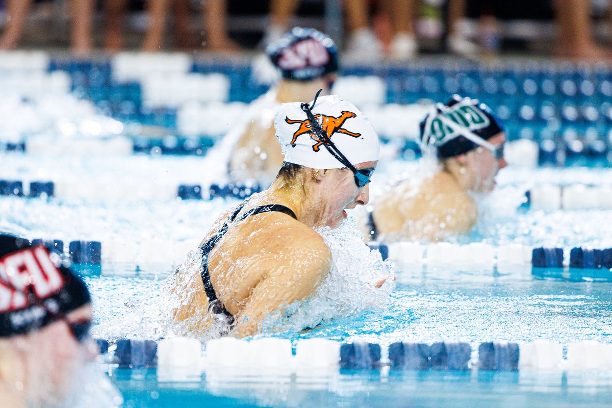 GoCamelsSwim's tweet photo. The Camels closed out the 2025-26 regular season at the Cavalier Invite last night, posting multiple season-bests over the weekend, plus a pair of relay wins ✅

Recap + full results ⤵️
🔗 https://t.co/WJv1LJCz5c

#FightAsONE | #RollHumps 🐪🏊 https://t.co/2mnczWsYYh