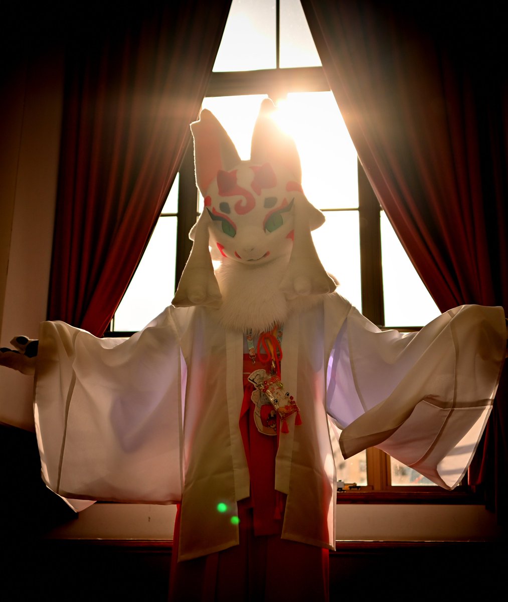 あやかしちゃんのありがたーい御光　#しがもふ 　#しがもふ4