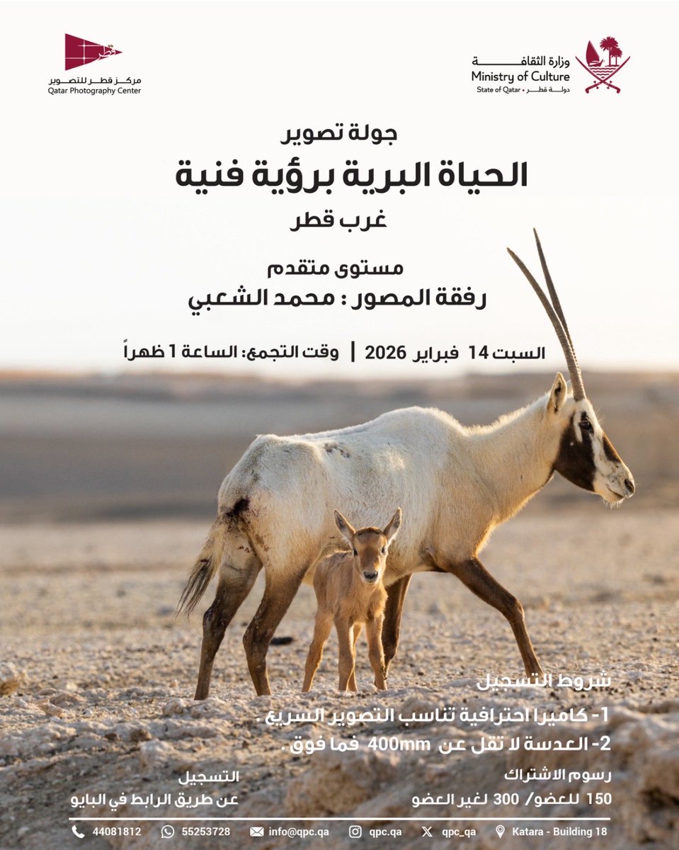مركز قطر للتصوير tweet media