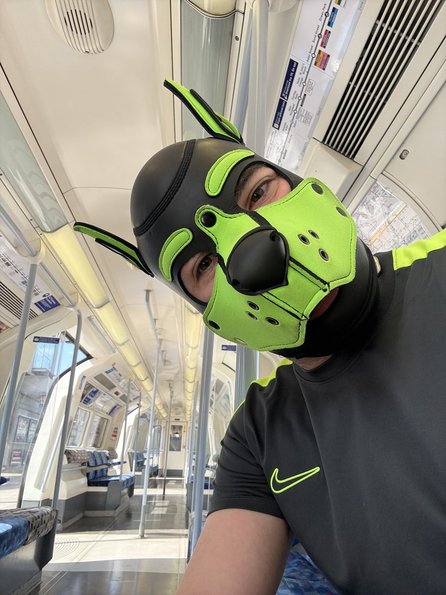 Pup Pyro tweet media