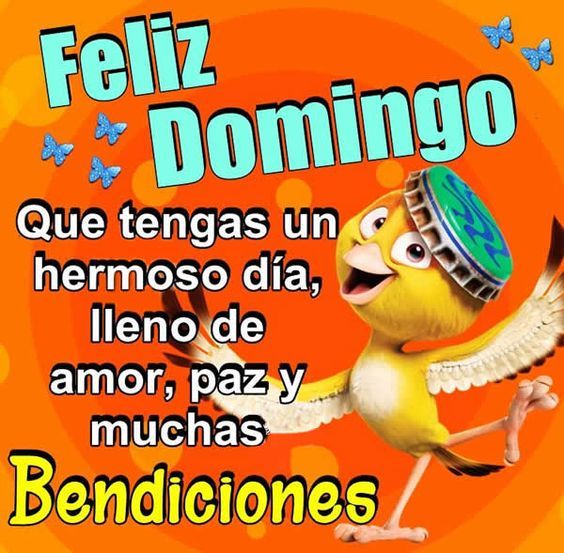 feliz domingo