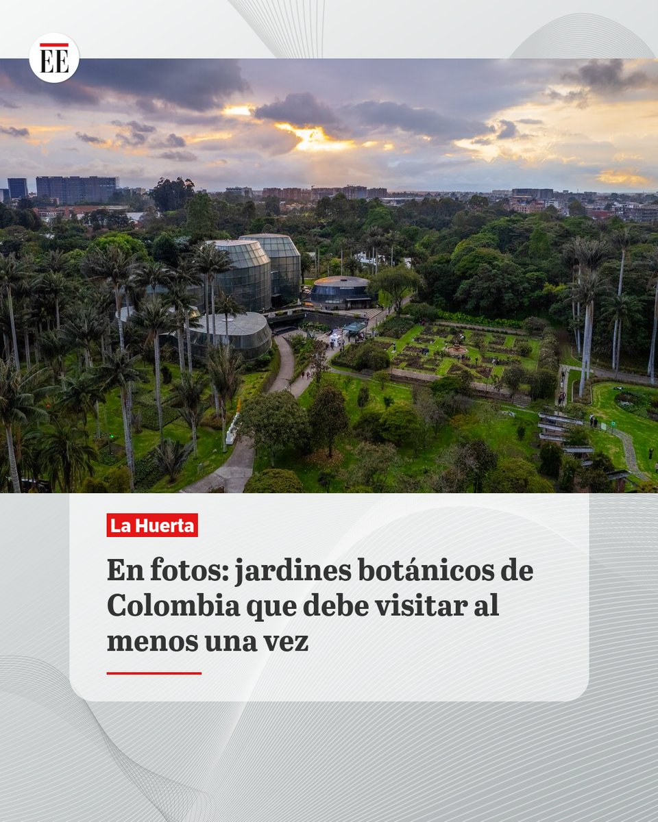#EE | En Colombia, los jardines botánicos son puertas vivas a la biodiversidad
ok.me/eOSO1👇🔗