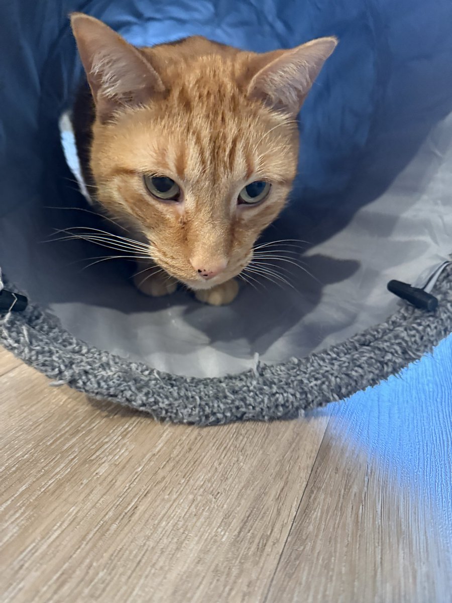 Jeff Porter tweet media