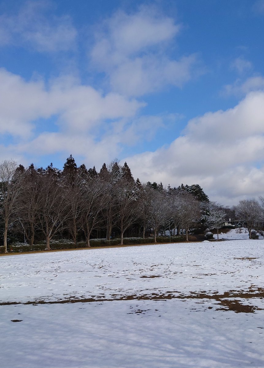 miel🌈⛩️ tweet media