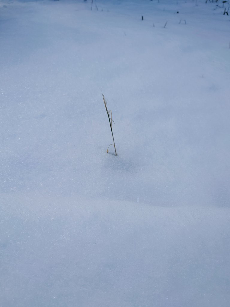 miel🌈⛩️ tweet media