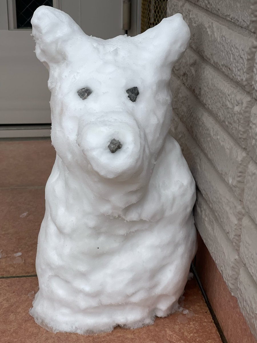 AI42537130's tweet photo. 東京都❄️降りました。我が家の犬🐕ダルマを久しぶりに制作した。 https://t.co/Qj7BBRkStg