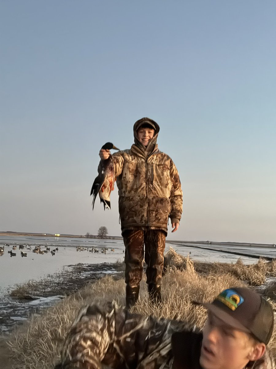 Charles Nicholson tweet media