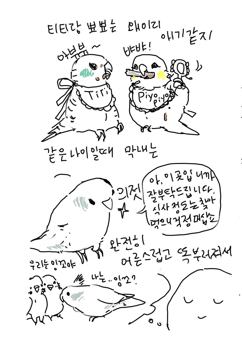 막내 키울때보다 왜이리 에너지가 더들지?하고 생각해보니 막내 키울때가 더 훨씬 힘들었는데 너무힘들었어서 완전 잊어버리고 있었단걸 생각해냈다 맨날울던 나날들😂 그리고 당연히 그때보다 10년도 더 지났으니 나도 낡았겠지👵 얘들아 더 활발해도돼 건강하기만 하렴! 내가 좀더 힘내볼께!