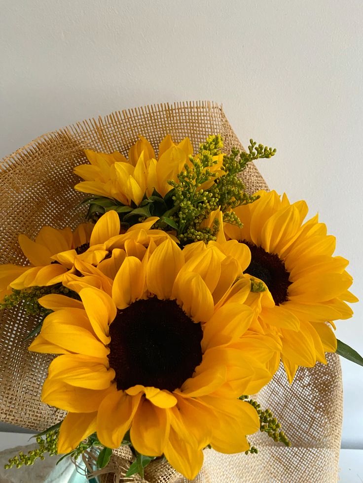 sunflowerchives's tweet photo. yellow mood🌻 https://t.co/Cax2WUhICe