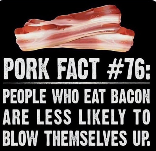 OzBodkins tweet media