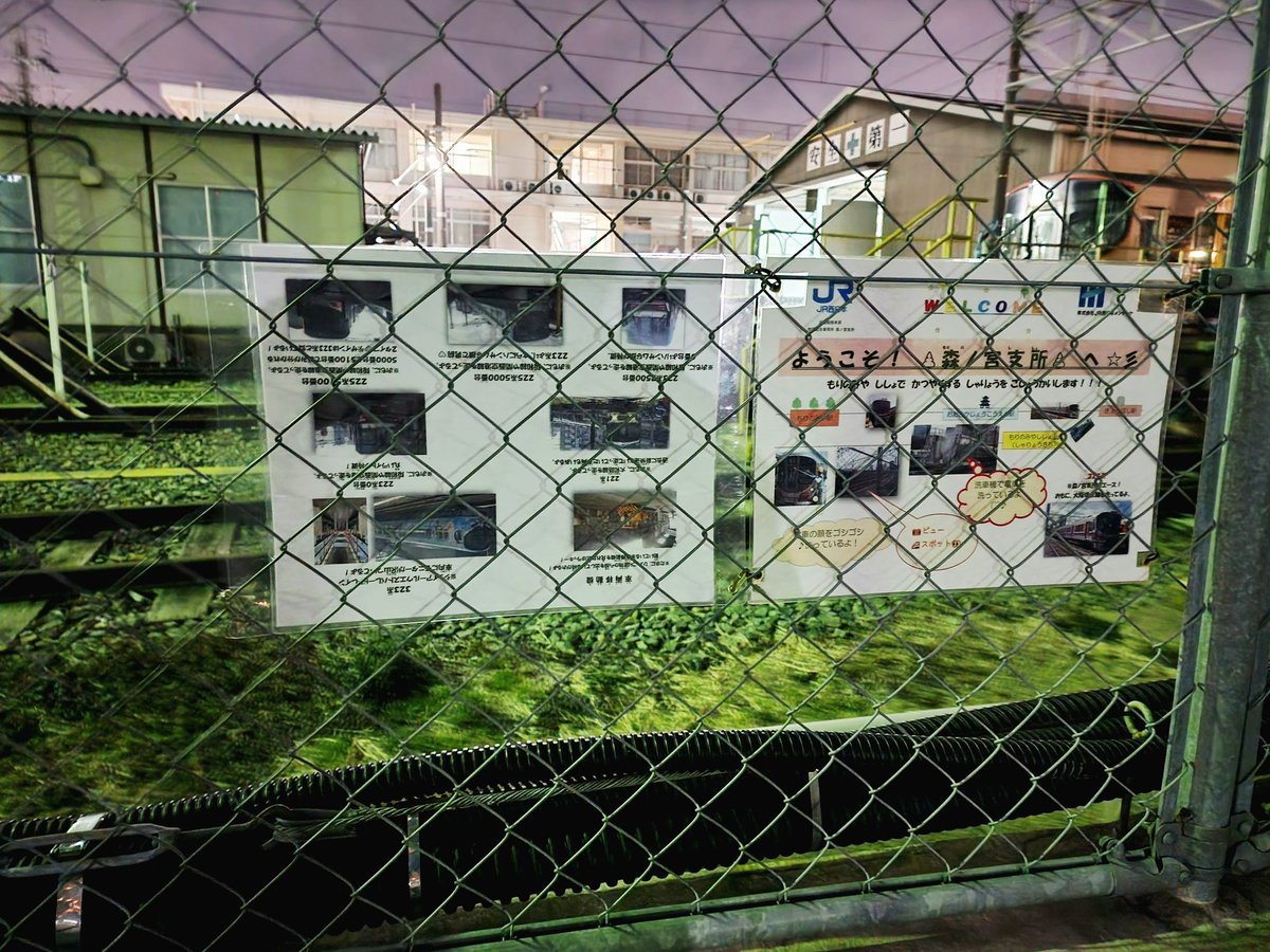 【悲報】環状線 LS15 スーパー・ニンテンドー・ワールド ラッピング
サイレント終了か！？
何日も分割状態で建屋内停車が気になり、よく見たら側面剥がされて正面の一部も。子ども向けの案内からもマリオラッピングが消えています。これ本日新しくなりましたが付け間違いで上下逆さまになっています。