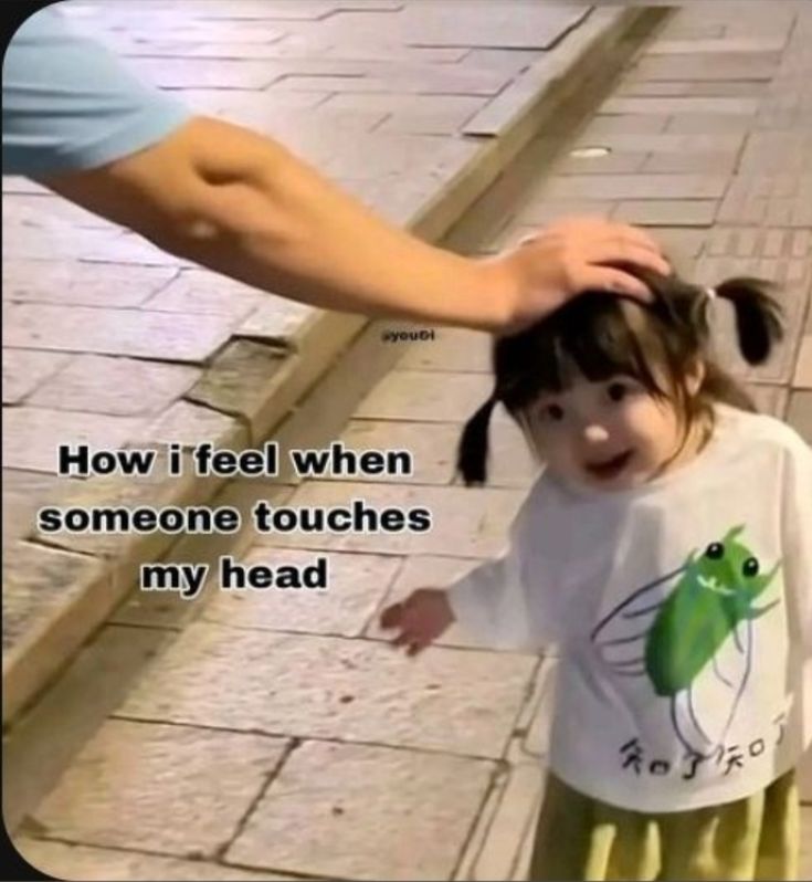 cdoll's tweet image. 