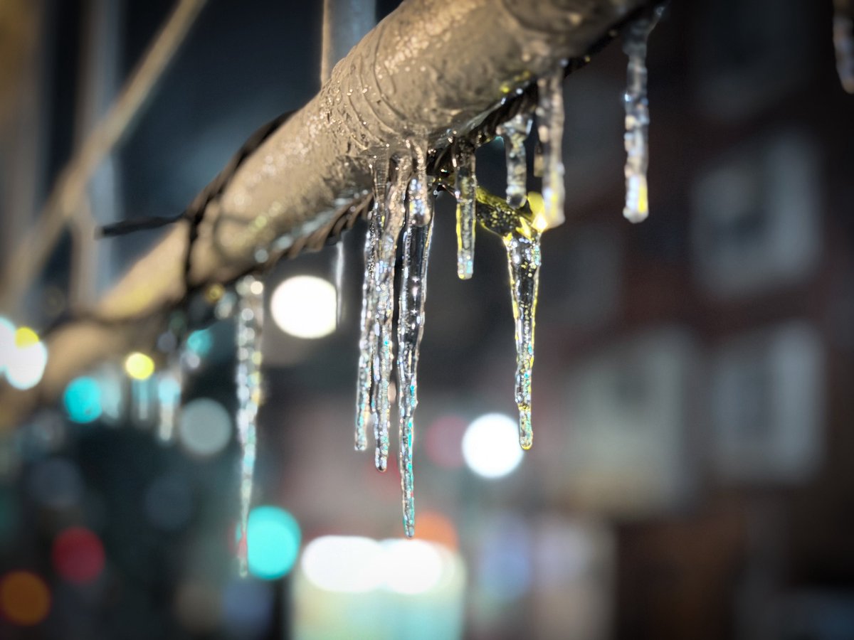 天羽えあ🪽🆕 4/17~19飲兵衛写真展2(デザフェスギャラリー tweet media