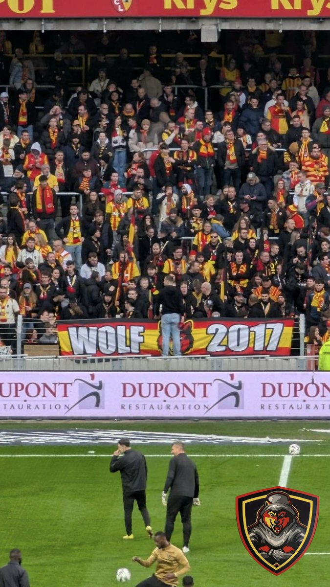WOLF 17 🐺 tweet media