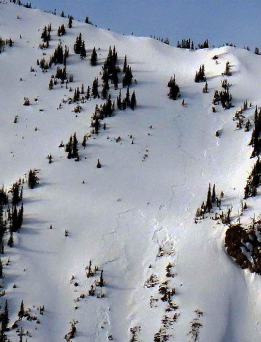 This past weeks heat wave triggered large avalanches on a buried weak layer. Riders can still initiate these slides, especially on steep slopes without a supportable crust. If today's weak storm overproduces, the danger may rise. Get the details at flatheadavalanche.org