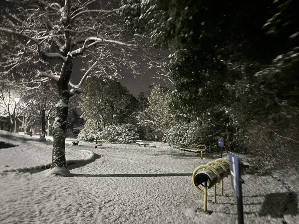 N7rOnn's tweet photo. 朝よりも積もってた
靴真っ白なった⛄️ https://t.co/xcUlg8OB8s