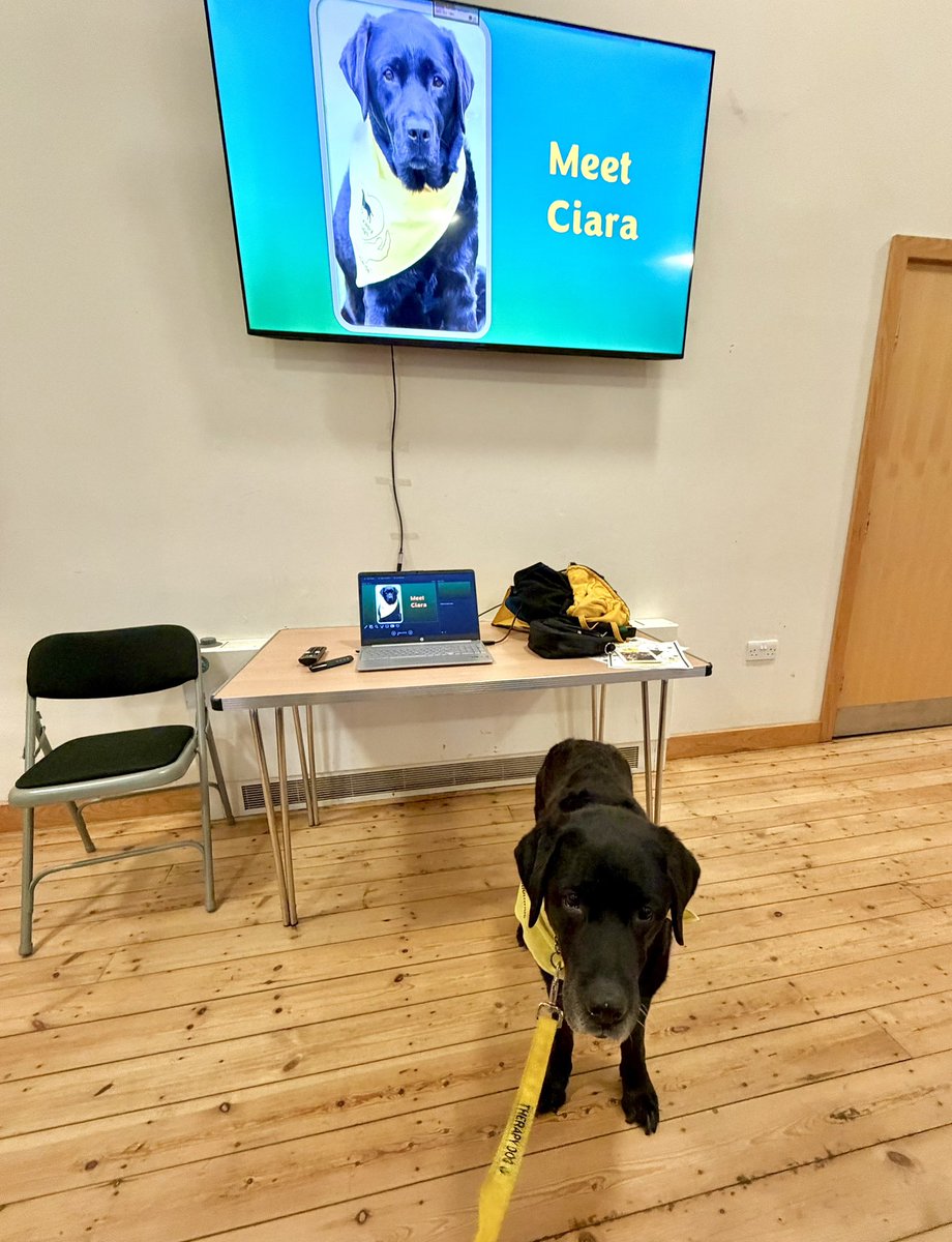 LogieTheDogie tweet media