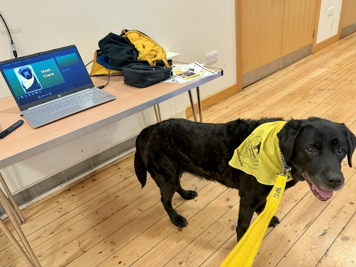 LogieTheDogie tweet media