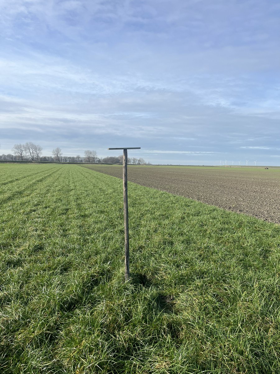 Hanko Blok tweet media