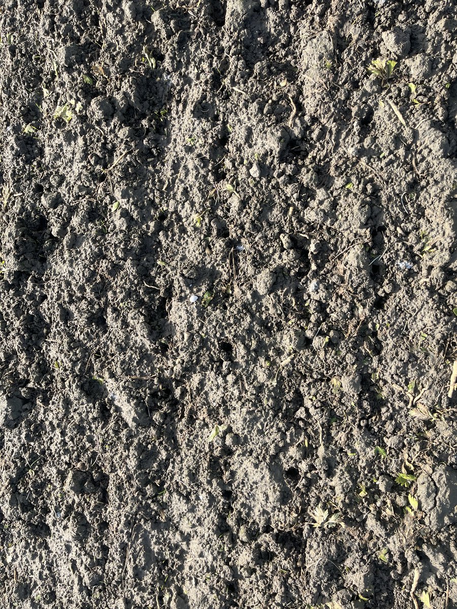 Hanko Blok tweet media