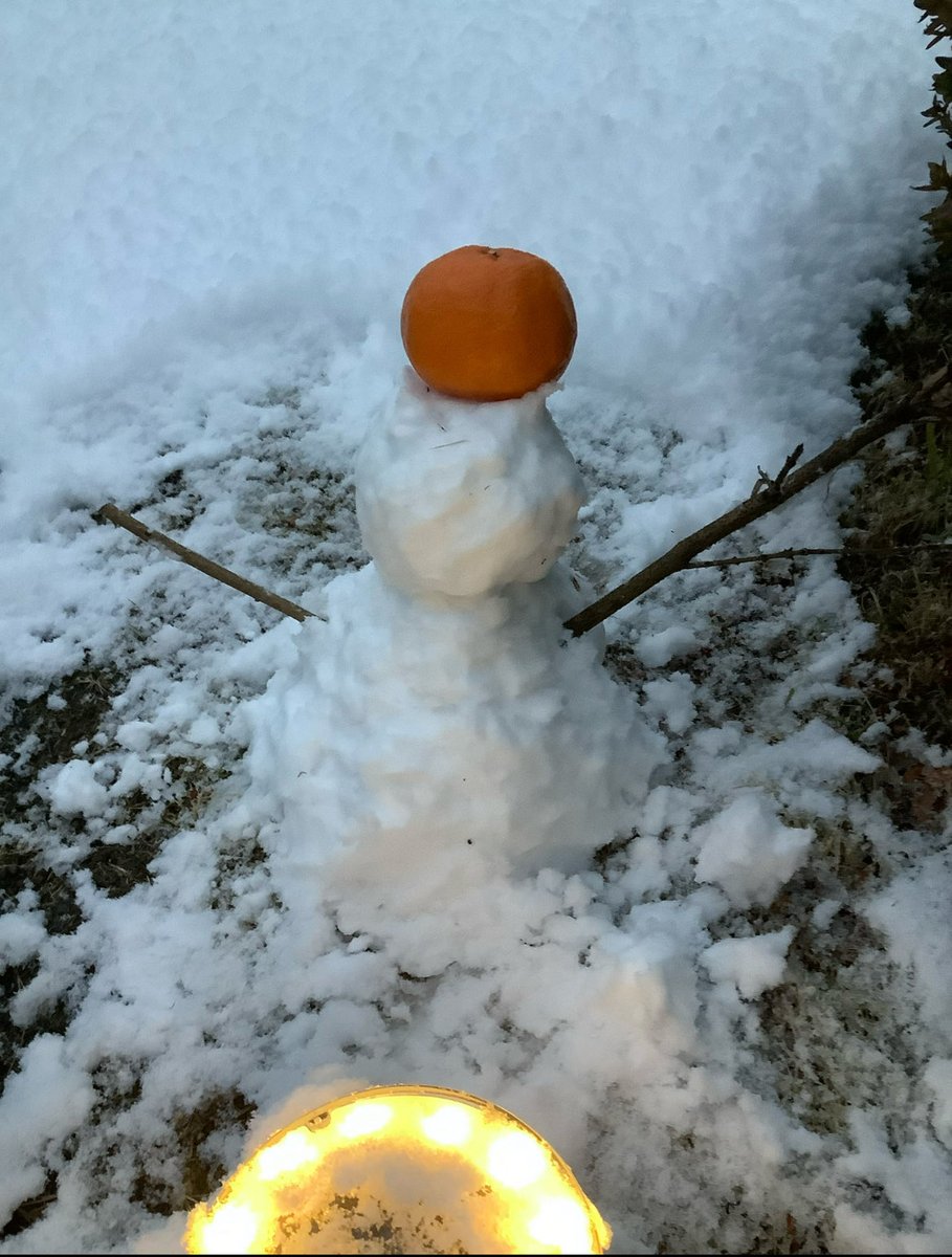 お三方が雪の中☃️
明日はどうなってるのかな？
道路凍結してませんように❄️
（雪だるま⛄️センスなし笑）