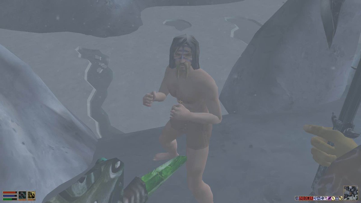 此方も出さねば…無作法というもの…

右はソルスセイムで見つけた真のノルド

左は自分がトチ狂って内海をほぼ全裸で走らせたノルド